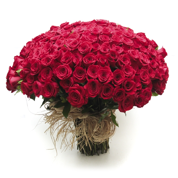 Mega Buquet de Rosas Colombianas Com 200 Rosas Magnificas