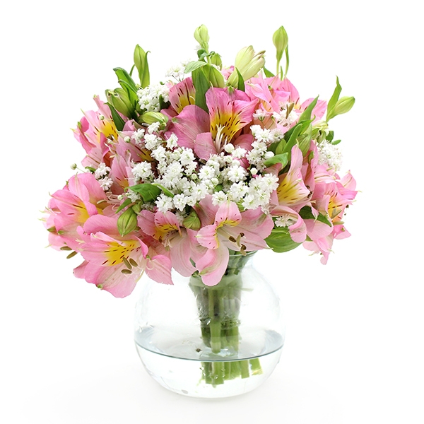 Arranjo de Astromelias Cor de Rosa com 15cm