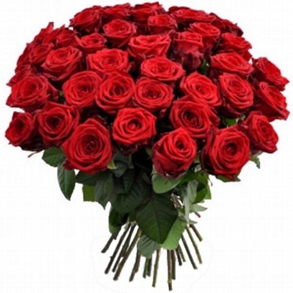Amor Extravagante