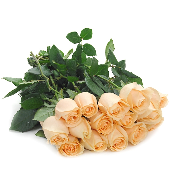 unidade de rosa champanhe-NÃO CONTEM EMBALAGEM