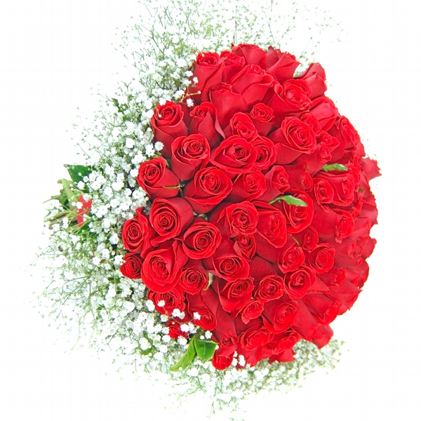 Buquê Explosão de Amor  60 Rosas Vermelhas Nacionais