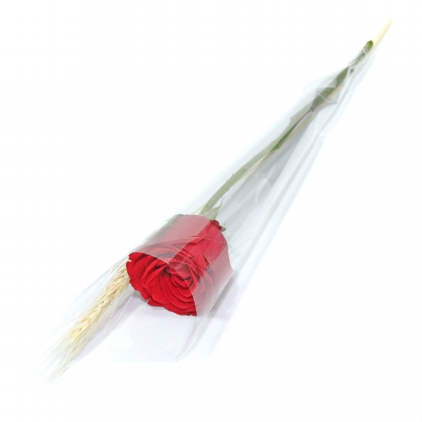 Rosa Colombiana Embalada Vermelha.