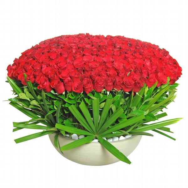 Sensacional Super Arranjo Com 400 Rosas Colombianas