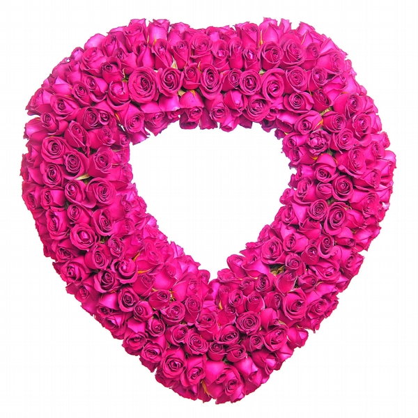 Dignissima Coroa Com 200 Rosas Importadas Meu Coracao Champanhe