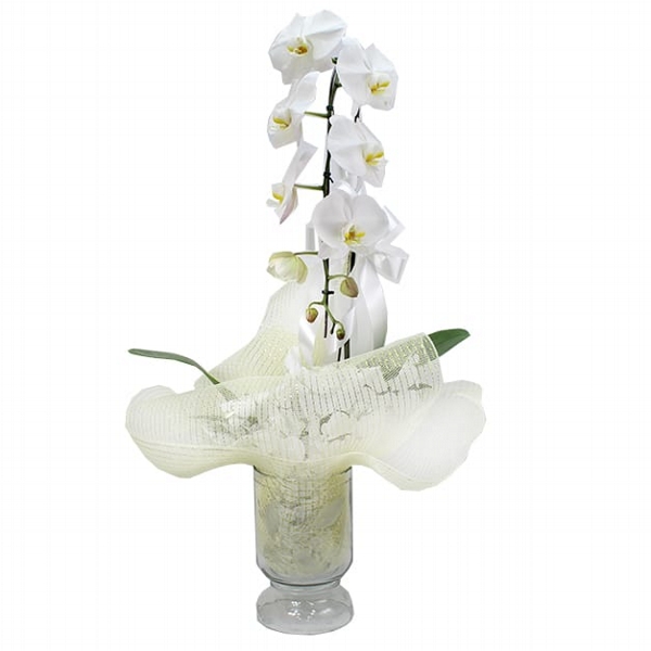 Orquidea Branca Cascata No Vaso De Vidro