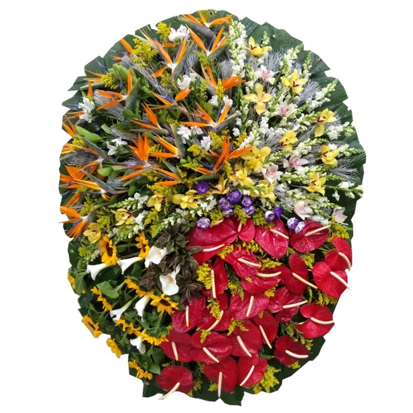 Coroa Gama