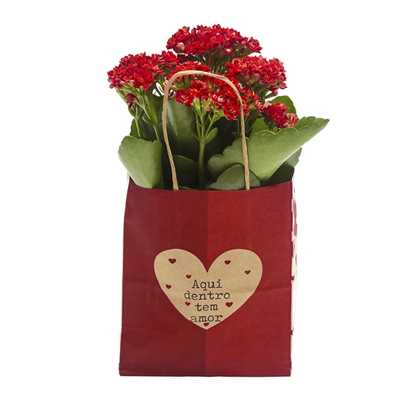 Arranjo Fortuna em Bag