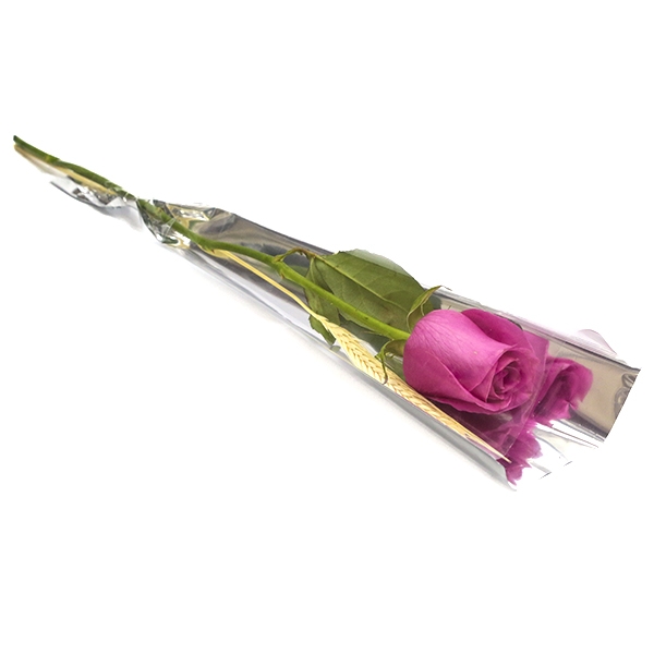 Rosa Pink Embalada Para Presente