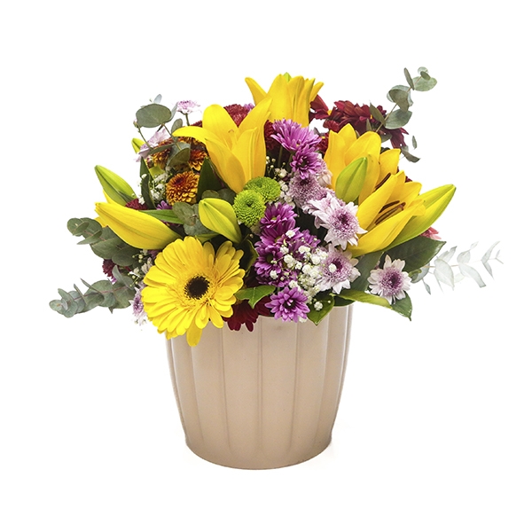 Arranjo de Flores Lily Bloom