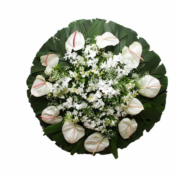 Coroa Clássica White