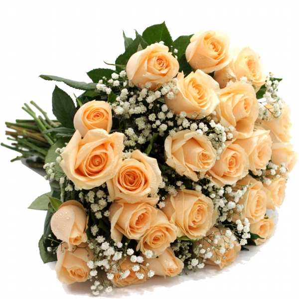 Buquê de Rosas Champagne 15 Unidades