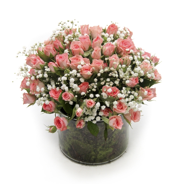 Aquário de Mini Rosas Cor de Rosa