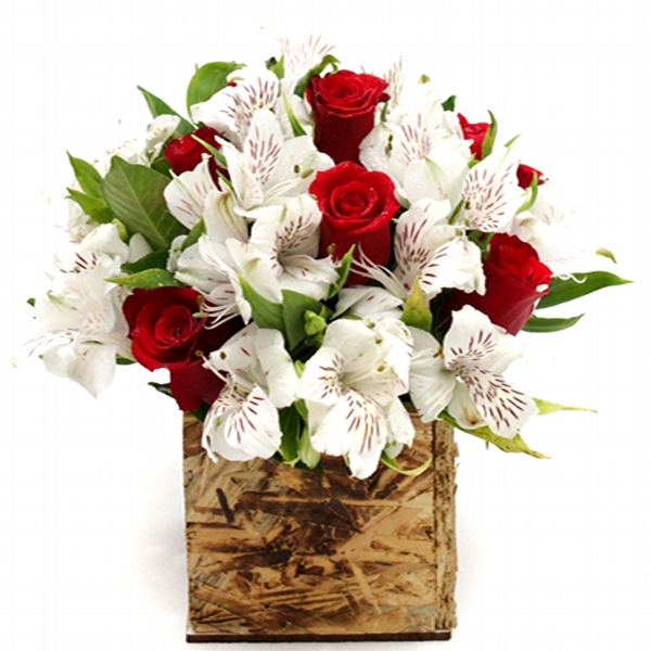 Arranjo de Rosas Vermelhas com Astromélias Brancas