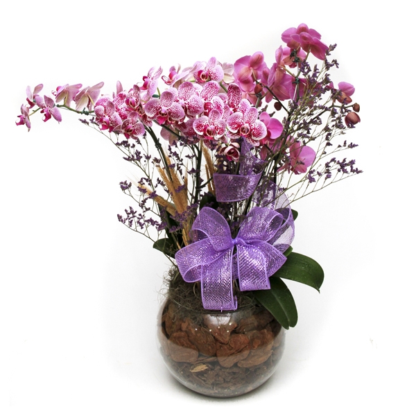 Encanto De Orquideas Lilas No Vaso de Vidro