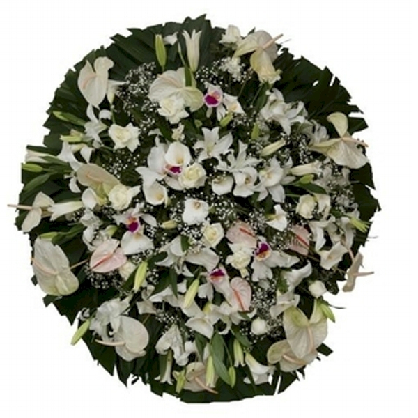 Coroa Carinho de Orquídea